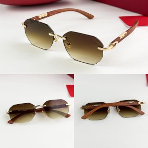 CARTIERE BROWN 3074