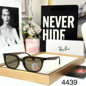 RAYBANS POLARIZED