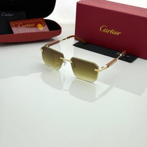 Men's sunglasses