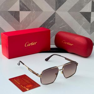 Men's sunglasses