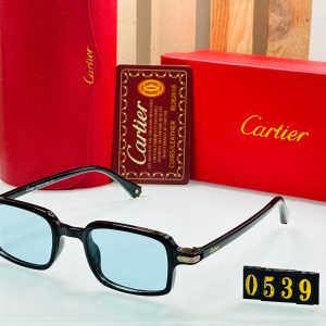 Men's sunglasses