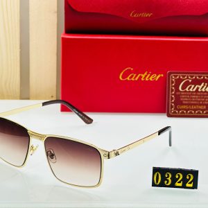 Men's sunglasses