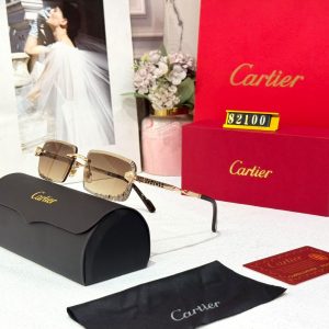 Men's sunglasses
