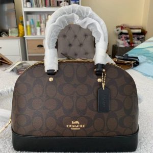 Ladies bag