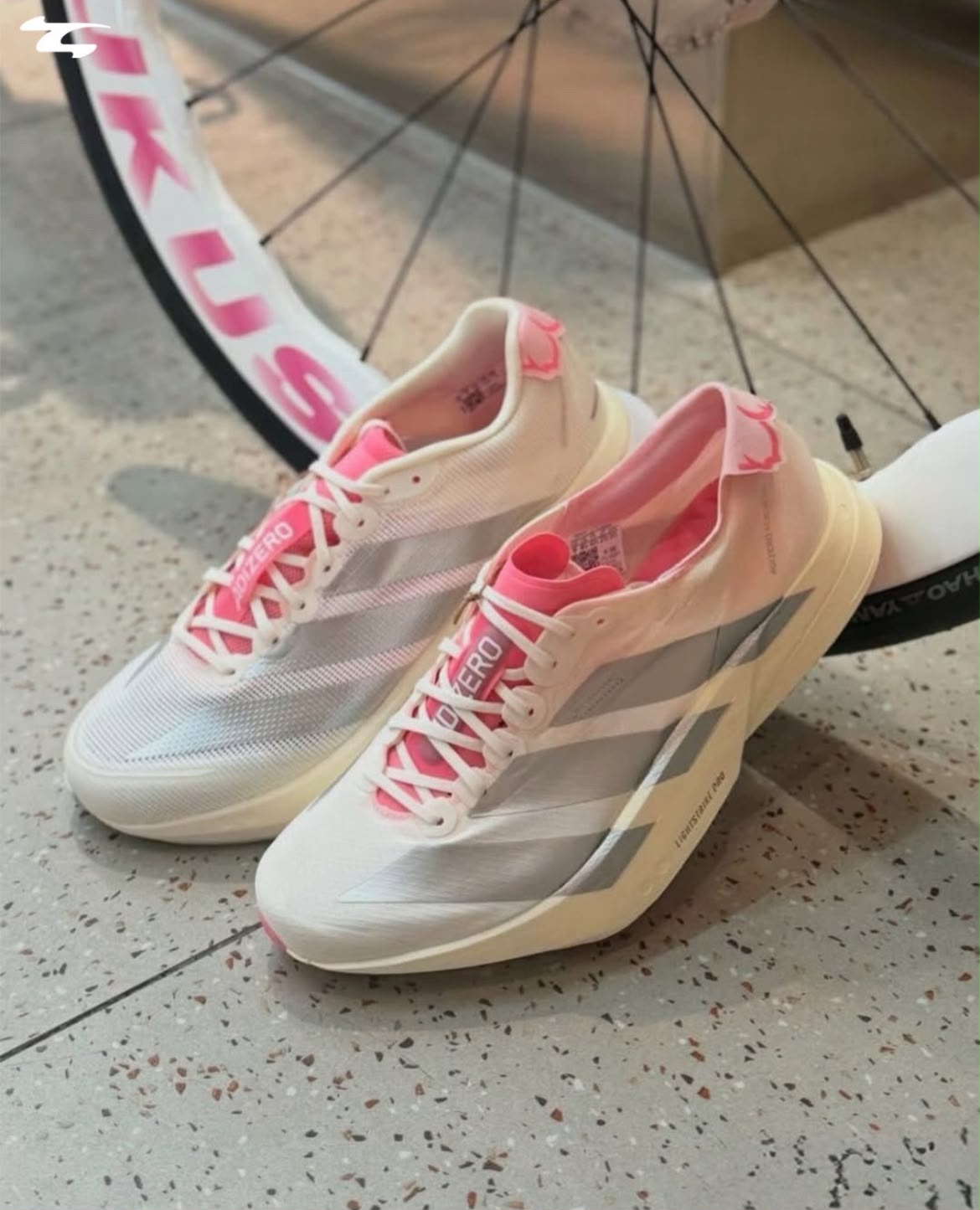 Women's shoes